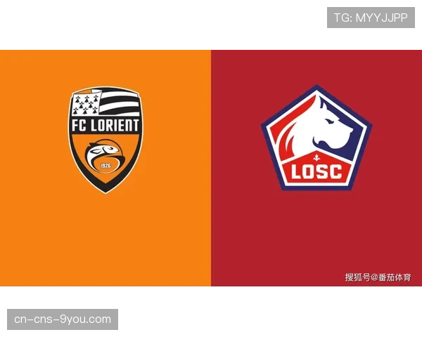 法甲NFT门票实验报告:里昂俱乐部单赛季数字藏品收入超500万欧元 法甲NFT门票实验报告:里昂俱乐部单赛季数字藏品收入超500万欧元